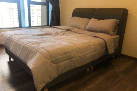 Junior Master Room